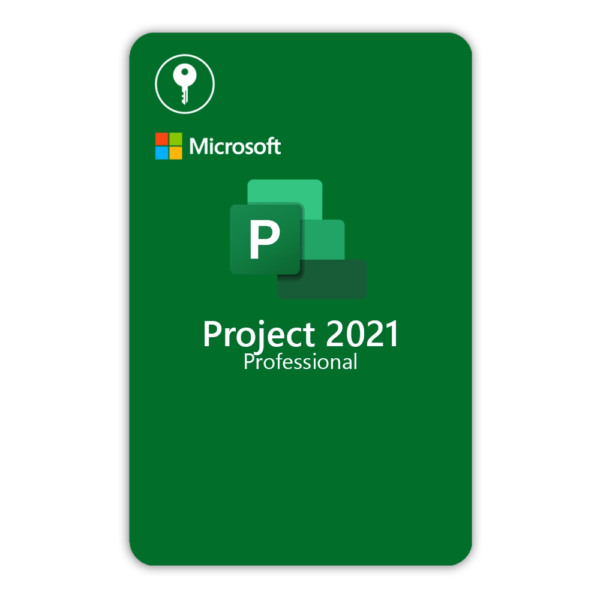 بروجيكت 2021 بروفيشينال