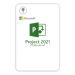 بروجيكت 2021 بروفيشينال